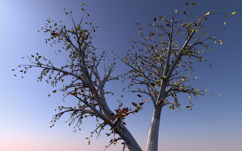 Name:  arbo3.jpg
Views: 1226
Size:  142.2 KB