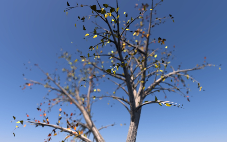 Name:  arbo6b.jpg
Views: 1223
Size:  142.6 KB