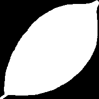 Name:  LeafSpc.png
Views: 1104
Size:  584 Bytes