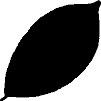 Name:  LeafTnp.png
Views: 1099
Size:  584 Bytes