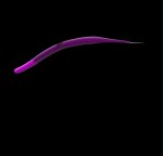 wave_01_135.jpg